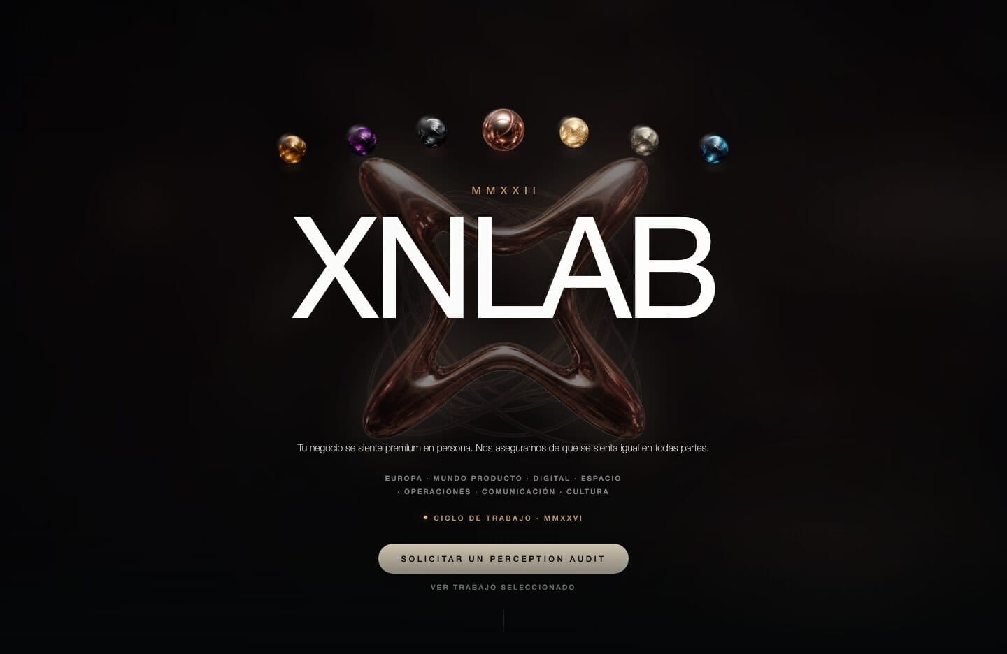 XNLAB homepage running locally with its commercial offer and diagnostic action visible